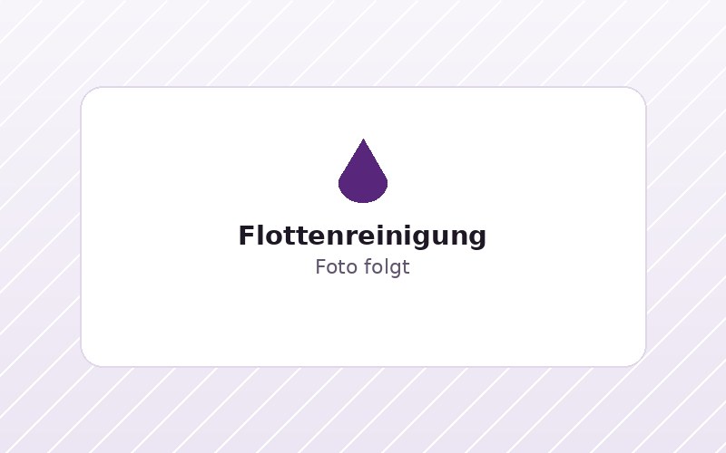 Flottenreinigung für Firmenfahrzeuge von Kamper Clean