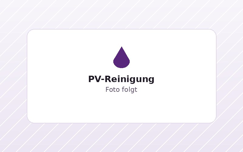 Reinigung einer Photovoltaik-Anlage durch Kamper Clean